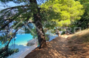 thumb_3087047_d_with_a_project_in_an_excellent_location_near_the_--23-.jpg