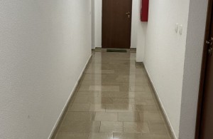 thumb_3089541_img_7481r.jpeg