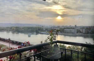 thumb_3092160_img_1256.jpeg