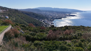 thumb_3092535_dji_20250205180032_0362_d-kopie.jpg