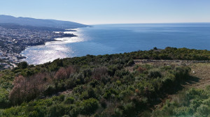 thumb_3092535_dji_20250205180035_0363_d-kopie.jpg