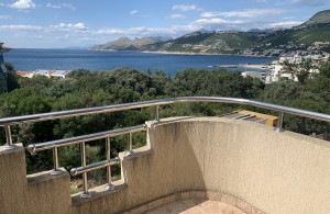 thumb_3096161_img_8958.jpeg