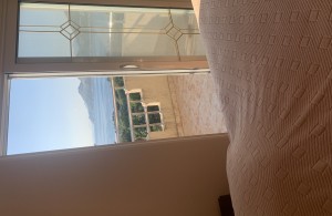 thumb_3096161_img_9031.jpeg