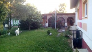 thumb_3105135_3.jpg
