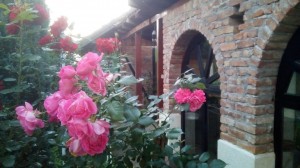 thumb_3105135_5.jpg