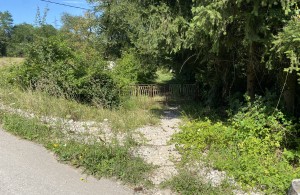 thumb_3106240_img_4733.jpg