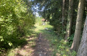 thumb_3106240_img_4734.jpg