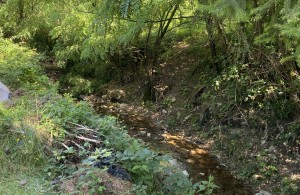 thumb_3106240_img_4736.jpg