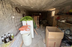 thumb_3107159_img_7681.jpeg