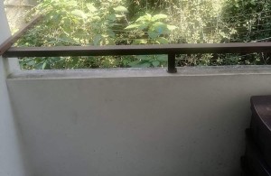 thumb_3111911_img-737e2e738375f777cf3230a43712fbbe-v.jpg