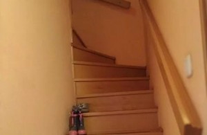 thumb_3112874_9.jpg