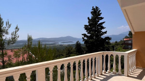 thumb_3113078_11.jpg