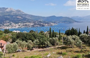 thumb_3116116_plac_land_zemljiste_zvinje_igalo_boka_bay_montenegro--8-.jpg