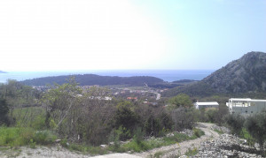 thumb_3120747_imag5218.jpg