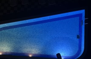 thumb_3121199_img_2041.jpeg