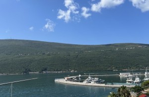 thumb_3121199_img_2146r.jpeg
