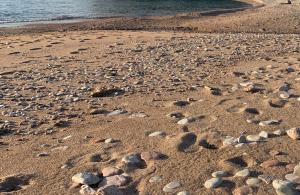 thumb_3124195_img_8081.jpg
