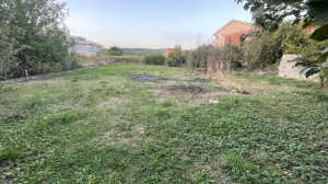 thumb_3126806_img_8393.jpeg