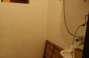 thumb_3126831_5.jpg