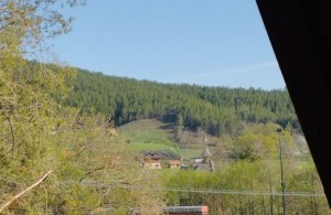 thumb_3126831_9.jpg