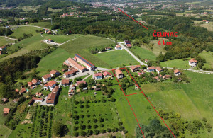 thumb_3131393_dji_0767.jpg