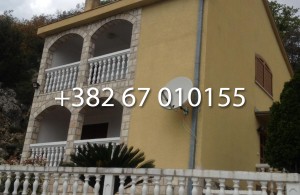 thumb_3133020_1_wm.jpg
