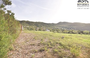 thumb_3137444__zemljiste_ratisevina_land_igalo_boka_bay_montenegro--3-.jpg