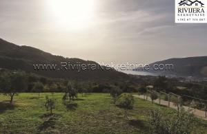 thumb_3137444__zemljiste_ratisevina_land_igalo_boka_bay_montenegro--4-.jpg