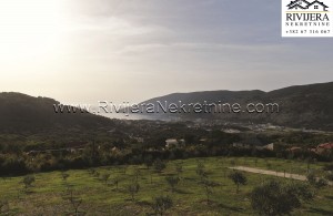 thumb_3137444__zemljiste_ratisevina_land_igalo_boka_bay_montenegro--5-.jpg