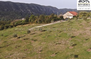 thumb_3137444__zemljiste_ratisevina_land_igalo_boka_bay_montenegro--7-.jpg