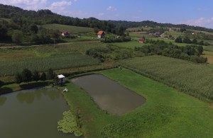 thumb_3139937_dji_0160.jpg