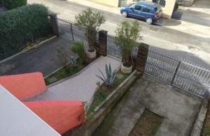thumb_3143709_img_20231106_113600_1.jpeg