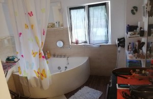 thumb_3146401_img_20231123_100501.jpg