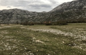 thumb_3146856_krivosije6.jpg