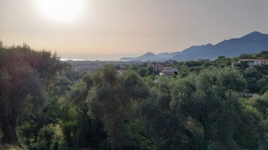 thumb_3148971_photo_2024-07-12_11-42-22.jpg