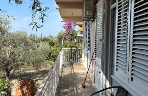 thumb_3149907_photo_2023-11-24_16-53-21.jpg