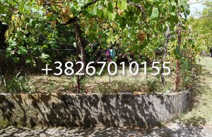 thumb_3165890_1-9.jpg