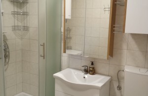 thumb_3168270_6-flat-juhorska-bathroom-full.jpg