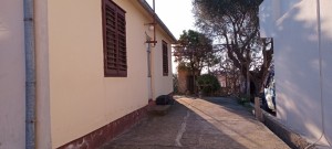 thumb_3173084_img_3005.jpeg
