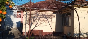 thumb_3173084_img_3009.jpeg