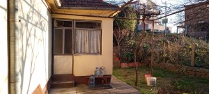thumb_3173084_img_3010.jpeg