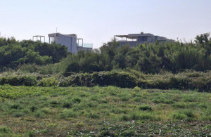 thumb_3175572_neighbouring-villas-1.jpg