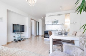 thumb_3177049_5297_apartament_1sp_fantana_budva_16.jpg
