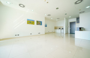 thumb_3189438_office-in-budva-tq-plaza-4.jpg