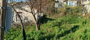 thumb_3192498_img_20240124_143007067_hdr.jpg