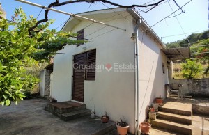 thumb_3197085_croatia-solta-two-houses-large-plot-sale-103-.jpg