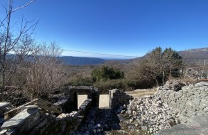 thumb_3203156_img_8184rr.jpeg