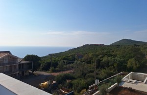 thumb_3206576_img-5c519e2a7656990e14fd2fede5ec6cea-v.jpg