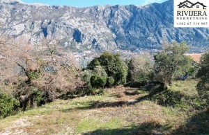 thumb_3223915_canj_kotor_rivijera_nekretnine_new_urbanizovan-6-850x570.jpg