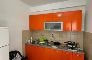 thumb_3230318_3.jpg